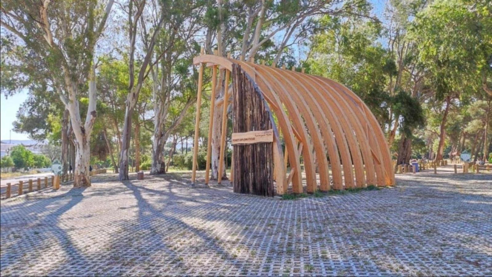 Charming, Peaceful House, Between Forest And Sea 丹吉尔 外观 照片